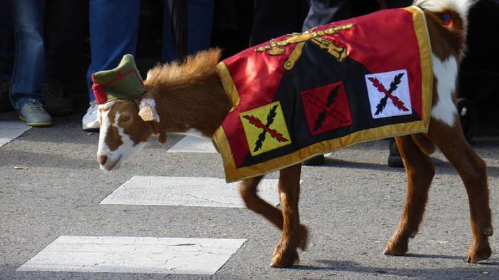 RealgarNikolai's tweet photo. @CRlTTERS looks like la cabra de la legion,its a tradition on my country in wich the spannish legion takes a goat in a military parade and dress them up :0 https://t.co/8faFSyrW4S