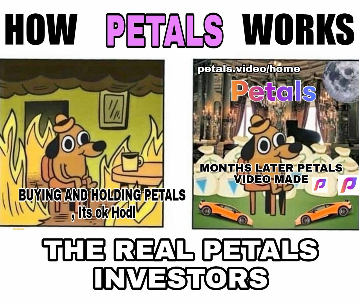 My entry 
<a href="/PetalsVideo/">PetalsVideo</a>  #PetalsVideo