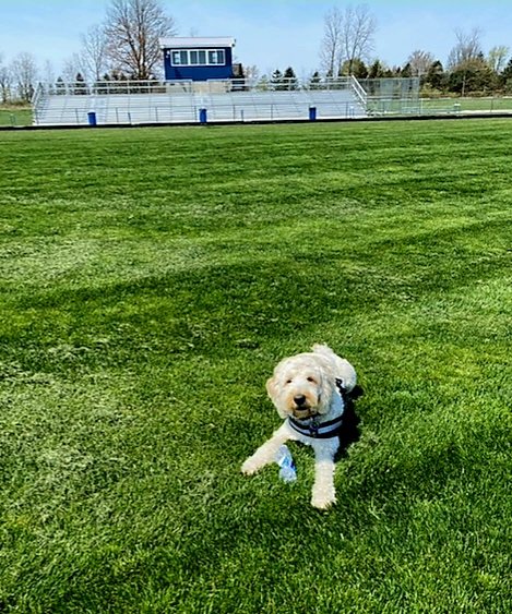 chs_ruby's tweet photo. Just gonna chill right here until @NOT_CoachM puts me on the team. https://t.co/gQZO3Z7J9l