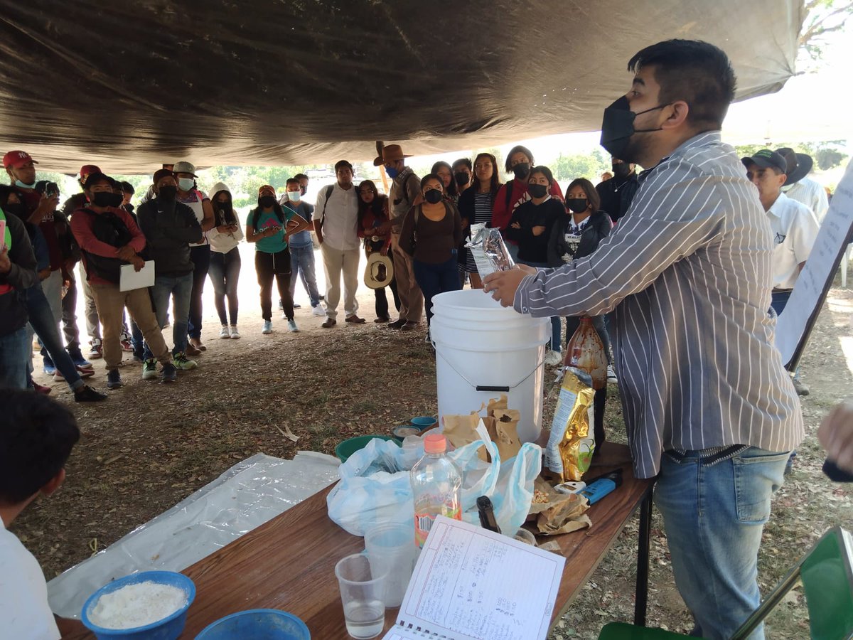 Carcito's tweet photo. Más del 90% de la superficie agrícola cultivada con maíz en #Oaxaca es de temporal, en esta vitrina de maíces mejorados y maíces nativos los estudiantes del #ITVO y productores pueden observar las características de 12 variedades y escoger la más pertinente a su sistema https://t.co/3QEQwHo7CF