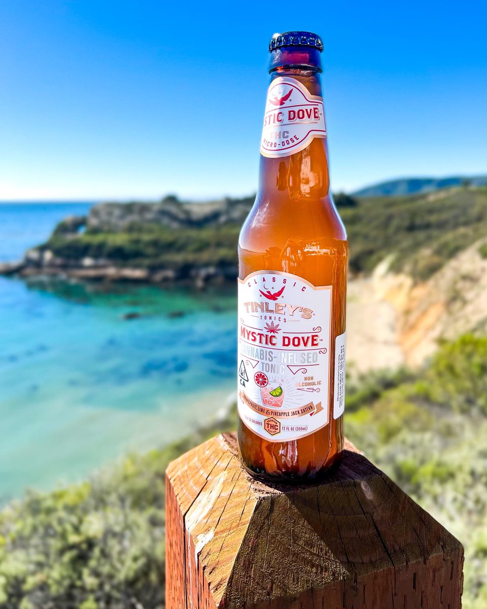 What a view!!! 🤩🌊🥂
#infused #cannabisindustry #calivibes $TNY $TNYBF #msogang #potstocks