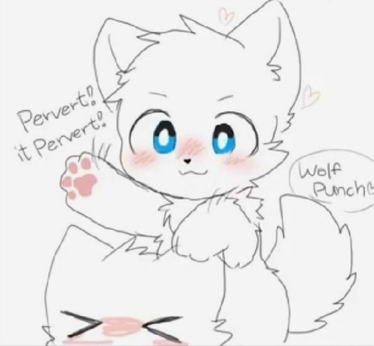 YApajadah's tweet photo. #WOLFPUNCH
#Changed
#Cute https://t.co/JX0VRVE053