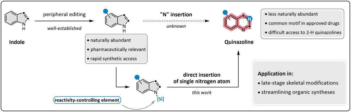 Ever wondered about directly turning the indole skeleton of a bioactive compound into a quinazoline or quinoxaline by 'just' inserting a N atom? Check this MS @ChemRxiv from Julia, @origree1, @HappyFranchino, @PDFinkelstein. doi.org/10.26434/chemr…