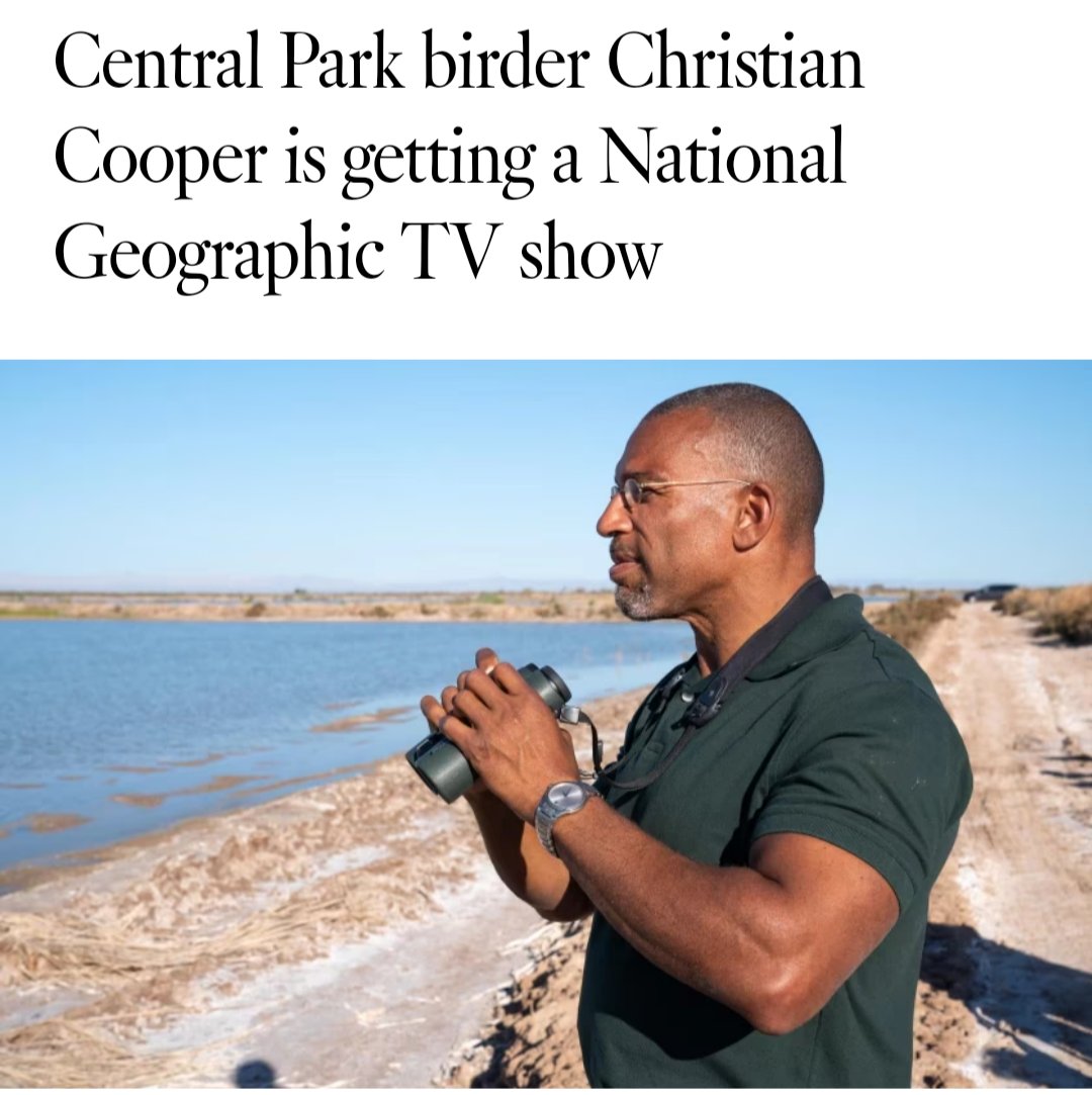 In related announcements, Fox News will launch a competing show about racists watching Black bird-watchers, hosted by Amy Cooper. #ChristianCooper #NatGeo

latimes.com/entertainment-…