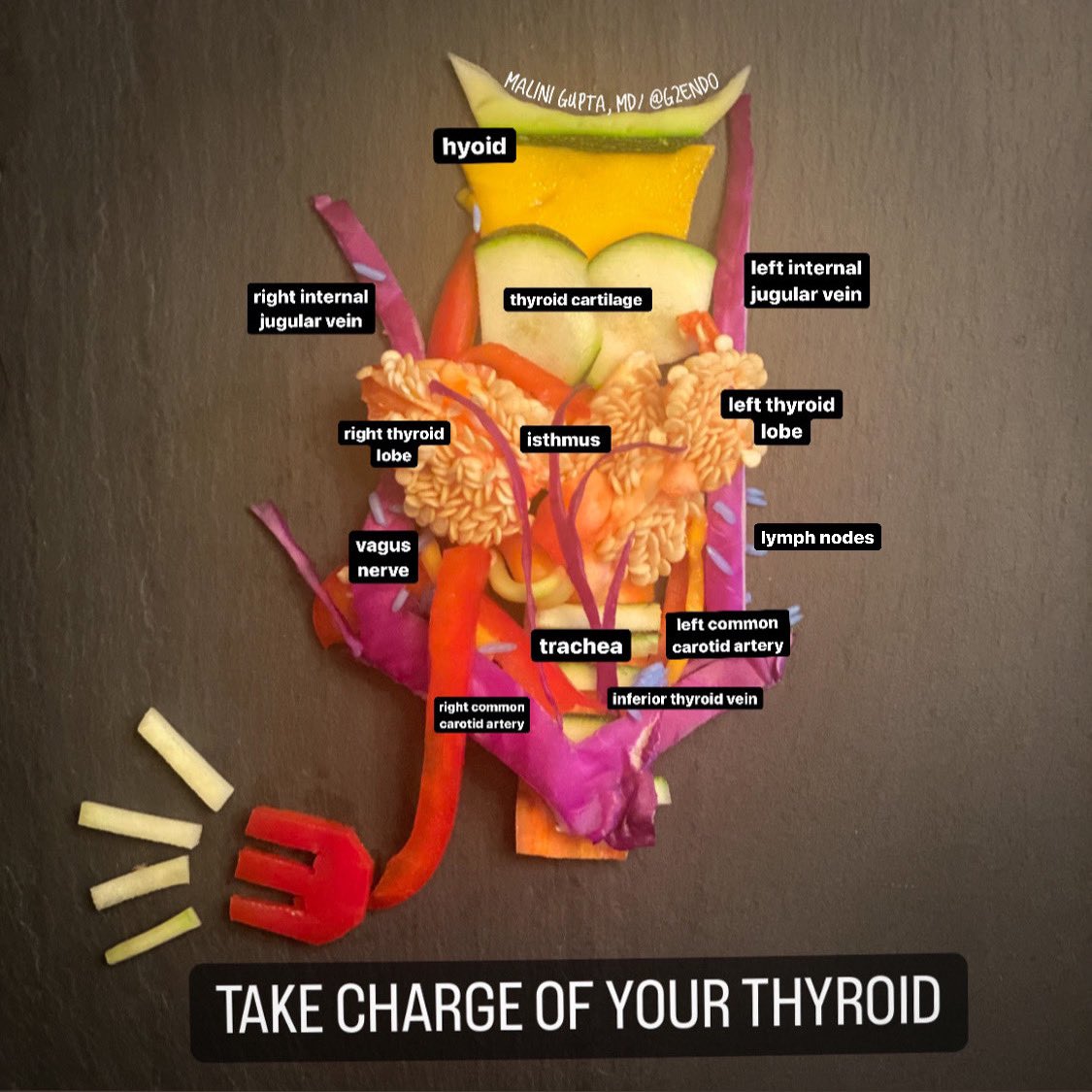 MaliniGuptaMD's tweet photo. This #WorldThyroidDay take charge of your #thyroid health! I made this one with bell pepper, cabbage, mango, zucchini, blue rice.  @AmThyroidAssn @ETA_Thyroid @TheEndoSociety @TheAACE https://t.co/0ZzcUUgqTs