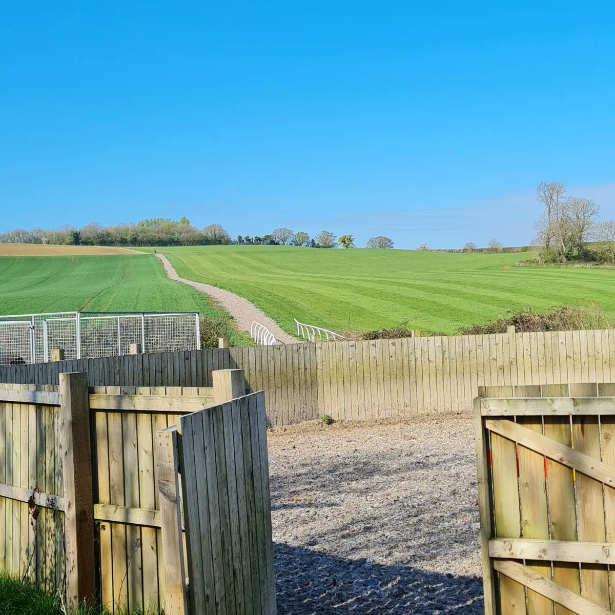 Robert Stephens tweet media