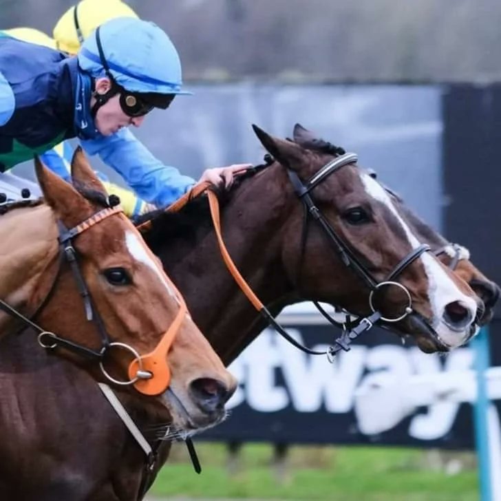 Robert Stephens tweet media