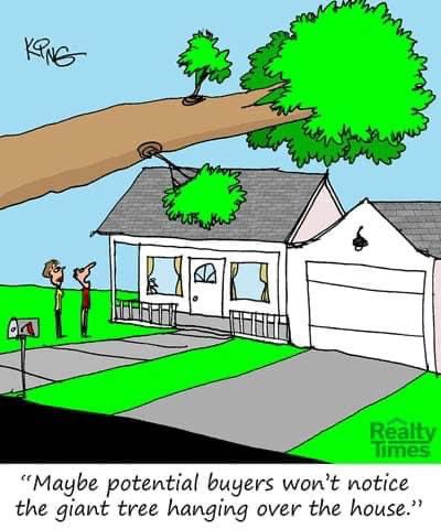 “💡Tip for the day: Preparing the outside of your home is just as important as preparing the inside of your home before listing.  Contact your favorite Realtor for a recommendation on a reputable landscape specialist who can help!” 
Era Polly, Broker Lic #01153650
(805) 878-2490