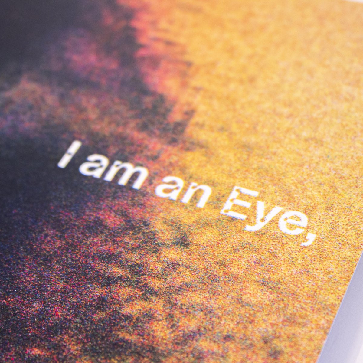 On Tuesday (May 31st) we will be celebrating the launch of the LV3 Publication 'I am an Eye, a Mechanical Eye' at @Northststandard!

Please join us between 5-11pm for morphing AI projections, great cocktails and to grab your free copy of the publication!