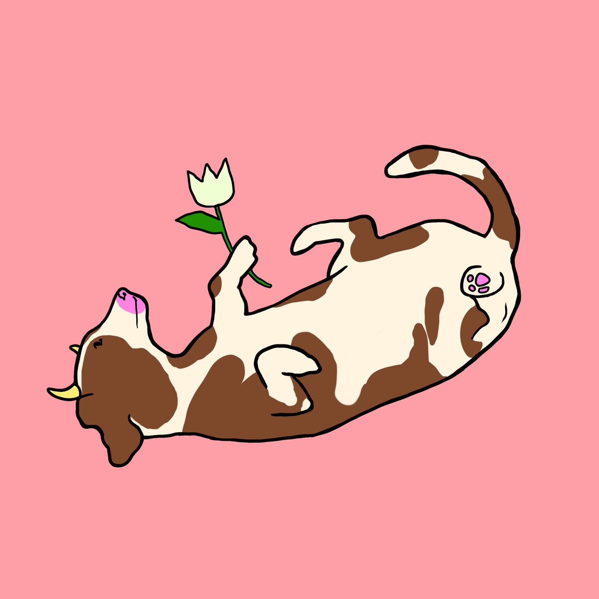 Club Lulu tweet media