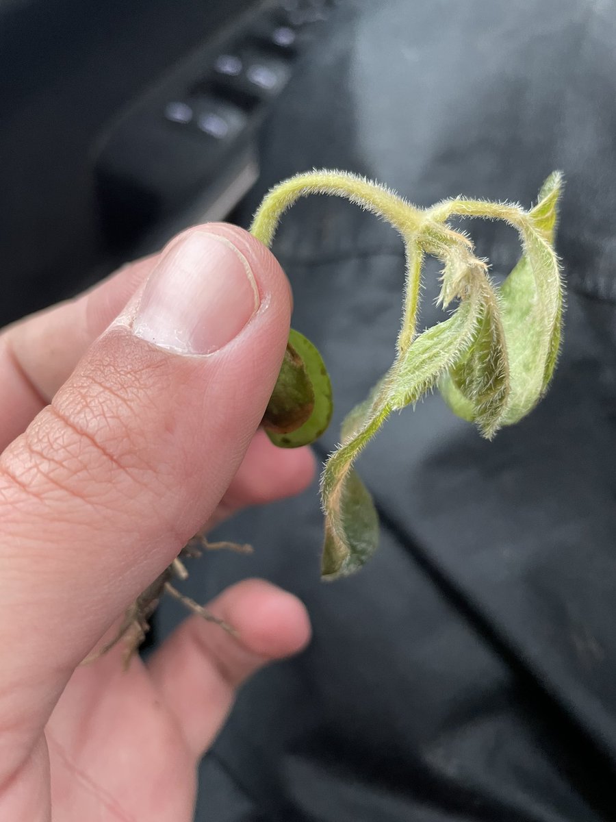 Riley Konen tweet media