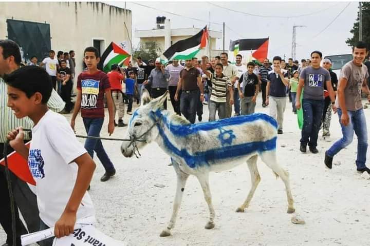 RT @EretzIsrael: A group of Palestinians in Gaza stoned and set fire to a donkey painted with Israeli flag. https://t.co/vsYmIITKYh