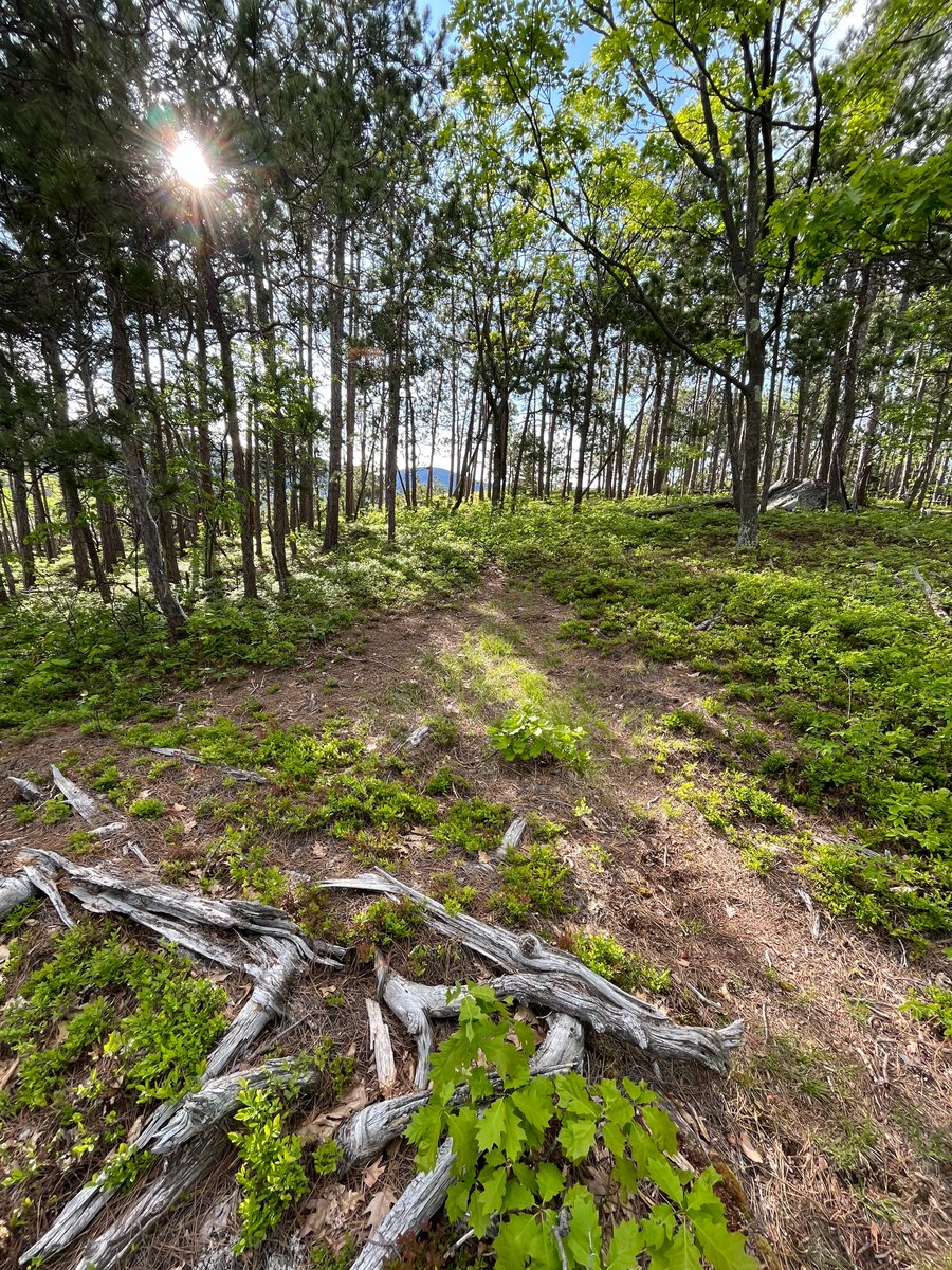 AdkLandTrust's tweet image. When there are no words.