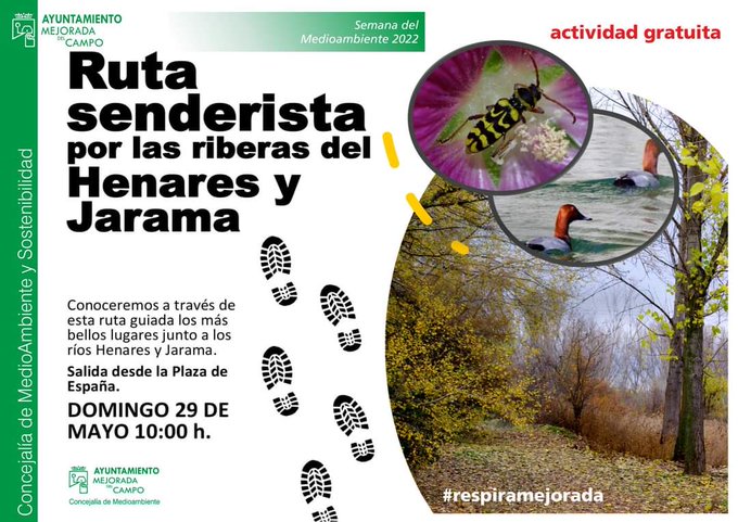 Foto cedida por Ayuntamiento de Mejorada