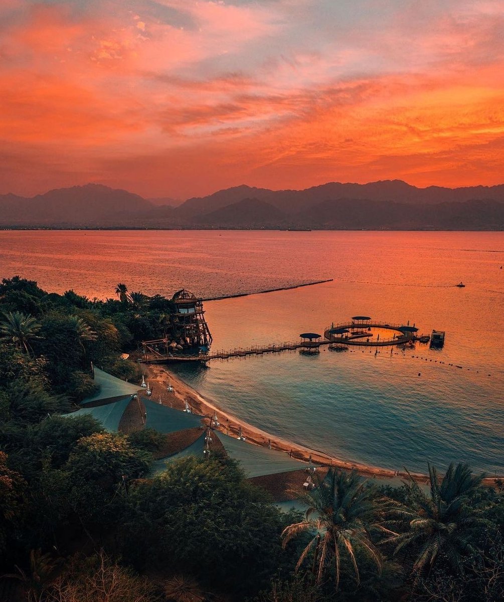 Peerless Travel tweet media