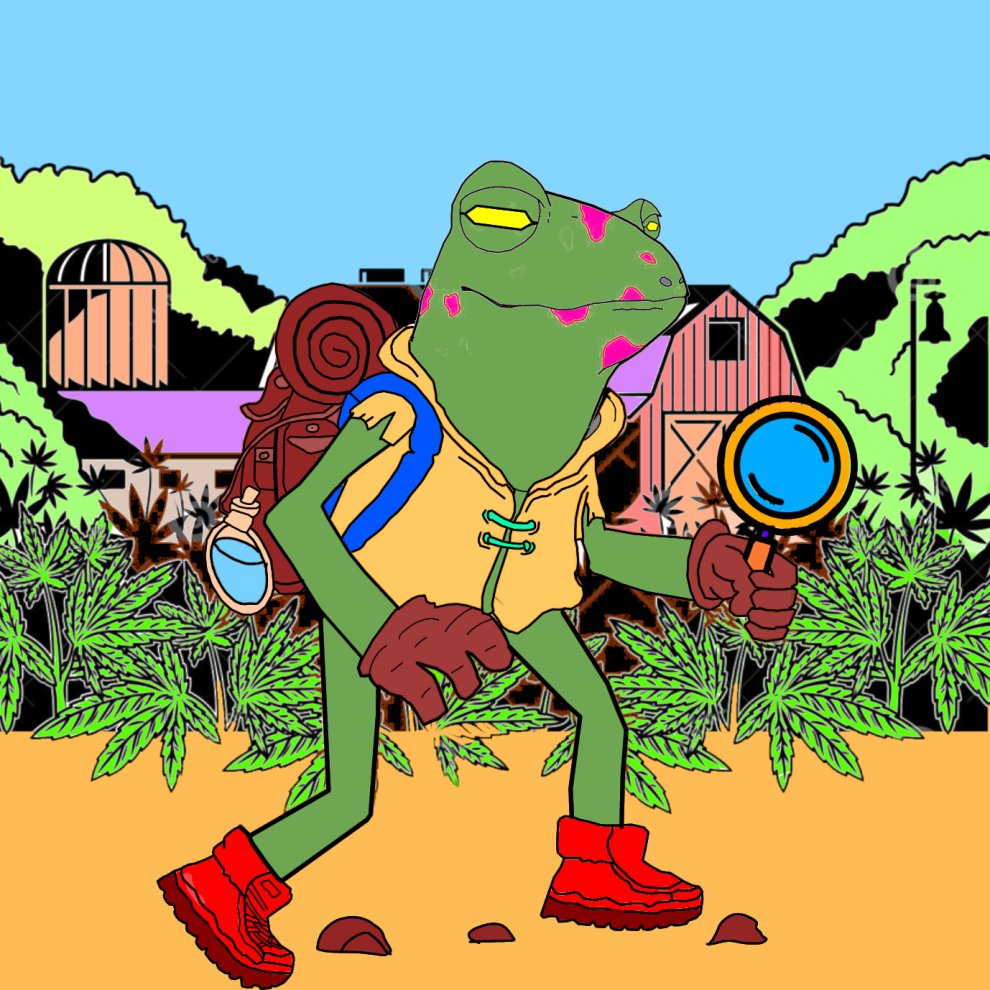 The Stoned Frogs tweet media