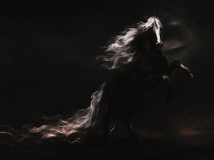 univellum's tweet photo. Woden’s day, Sleipnir https://t.co/T49nmLdMzV