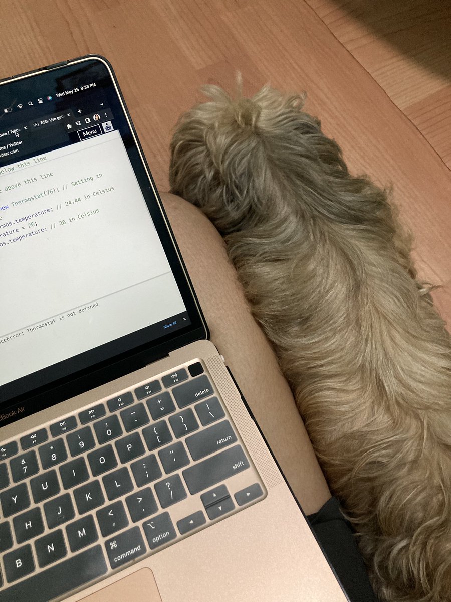 jirisbb's tweet photo. JavaScript made my study buddy fall asleep 🐶💤 

#javascript 
#100DaysOfCode
 #DogsWhoCode https://t.co/Fs1HFyONtP