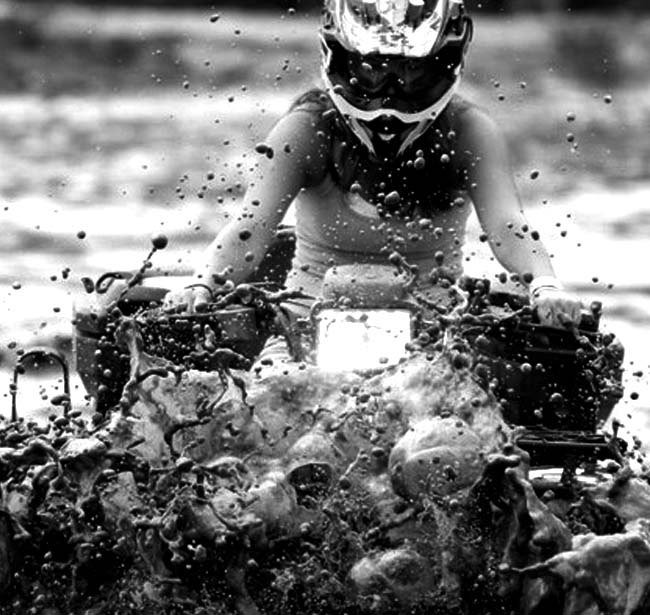 Birdysscooters's tweet photo. If you're looking for the best powersports vehicles and accessories, then you've come to the right place.

 https://t.co/vtYi6HgXCM

#PowersportsStore https://t.co/qMzM1fqzCQ