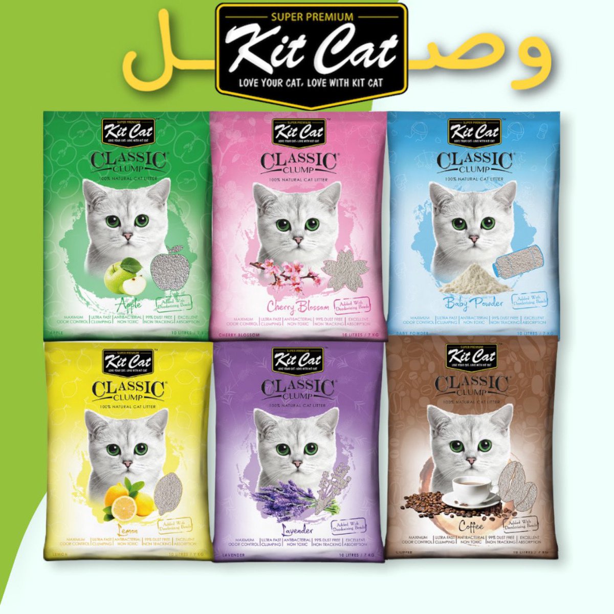 aleefshop's tweet photo. #kit_cat 😻💚 https://t.co/jn4myJIBKM