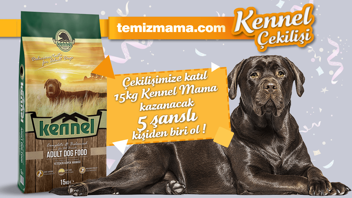 Temizmama'dan Kennel Köpek Maması Çekilişi!

5 takipçimize 15 kg Kennel Köpek Maması hediye ediyoruz 🎁

Yapmanız gerekenler:
✔️Hesabımızı takip et 👍
✔️Tweeti RT'le 🔁
✔️Tweetin altında 1 arkadaşını etiketle💬

Kazanan takipçilerimiz 31 Mayıs Salı günü açıklanacaktır 😉