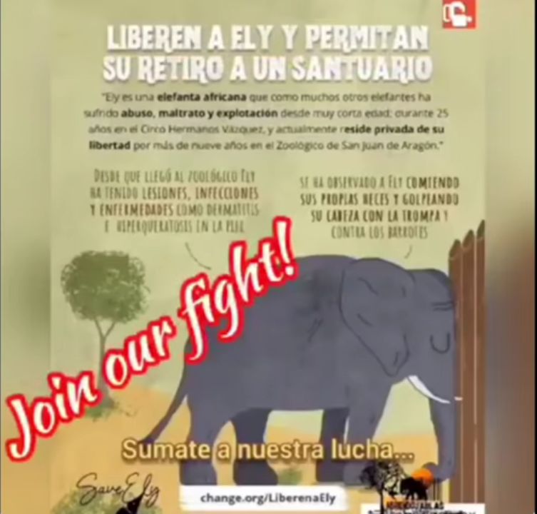 ELPODERCIUDADAN's tweet photo. Ayuden a Ely, en la CDMX.
Este gobierno de 4ta; solo tiene que autorizar su traslado a un santuario!! https://t.co/N73cyDvvPc