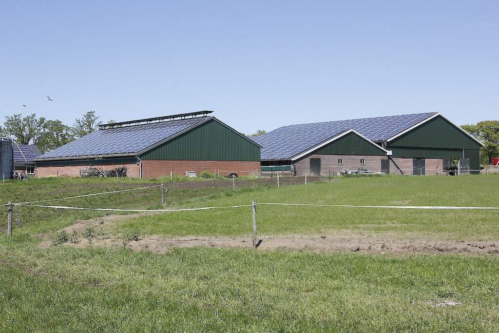 Databureau AgriDirect: 'Investeringsplannen melkveehouders in zonnepanelen verdubbeld'  | Melkvee.nl melkvee.nl/artikel/474572…
