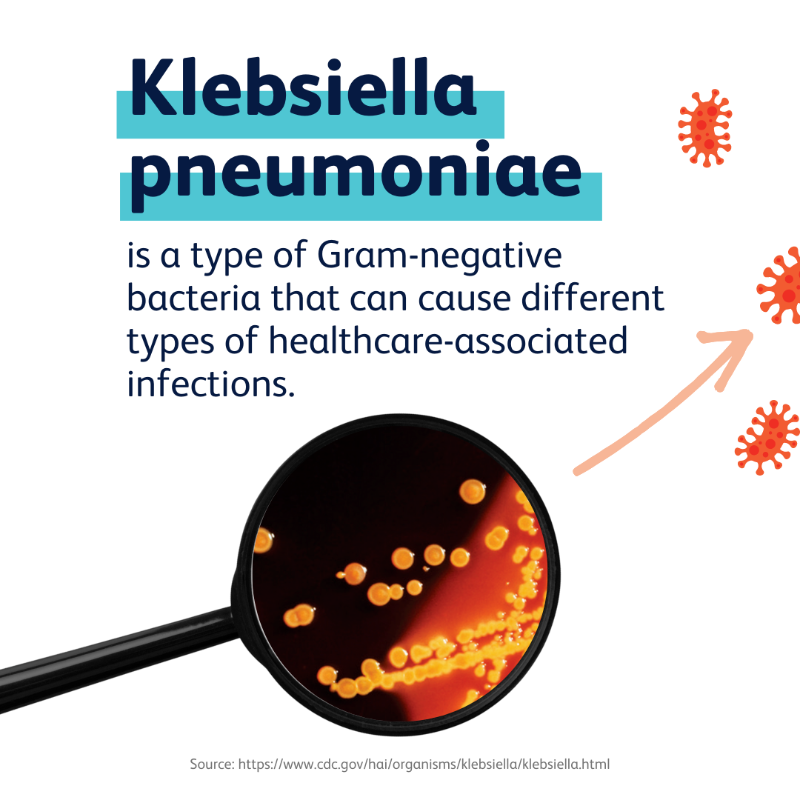 AMResistance's tweet photo. Klebsiella pneumoniae is a type of bacteria that has developed antimicrobial resistance — most recently to the class of antibiotics known as carbapenems.

Scroll through the images to learn more about this germ and how you can protect yourself.

🔷 #AMResistanceFighters