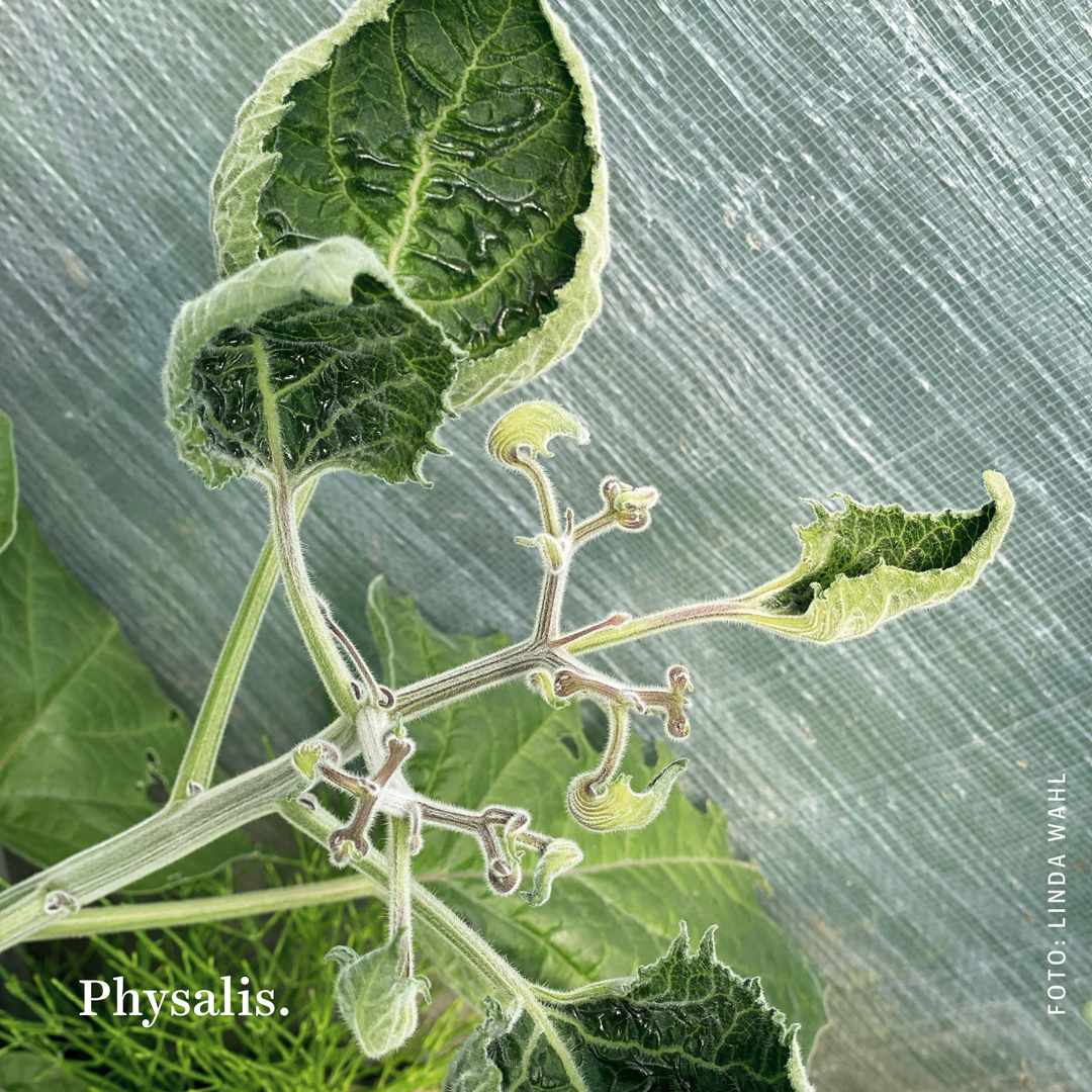 Magasinet Filter tweet media