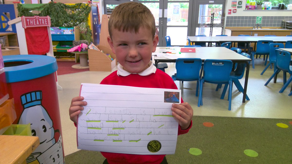 Danemill Primary tweet media