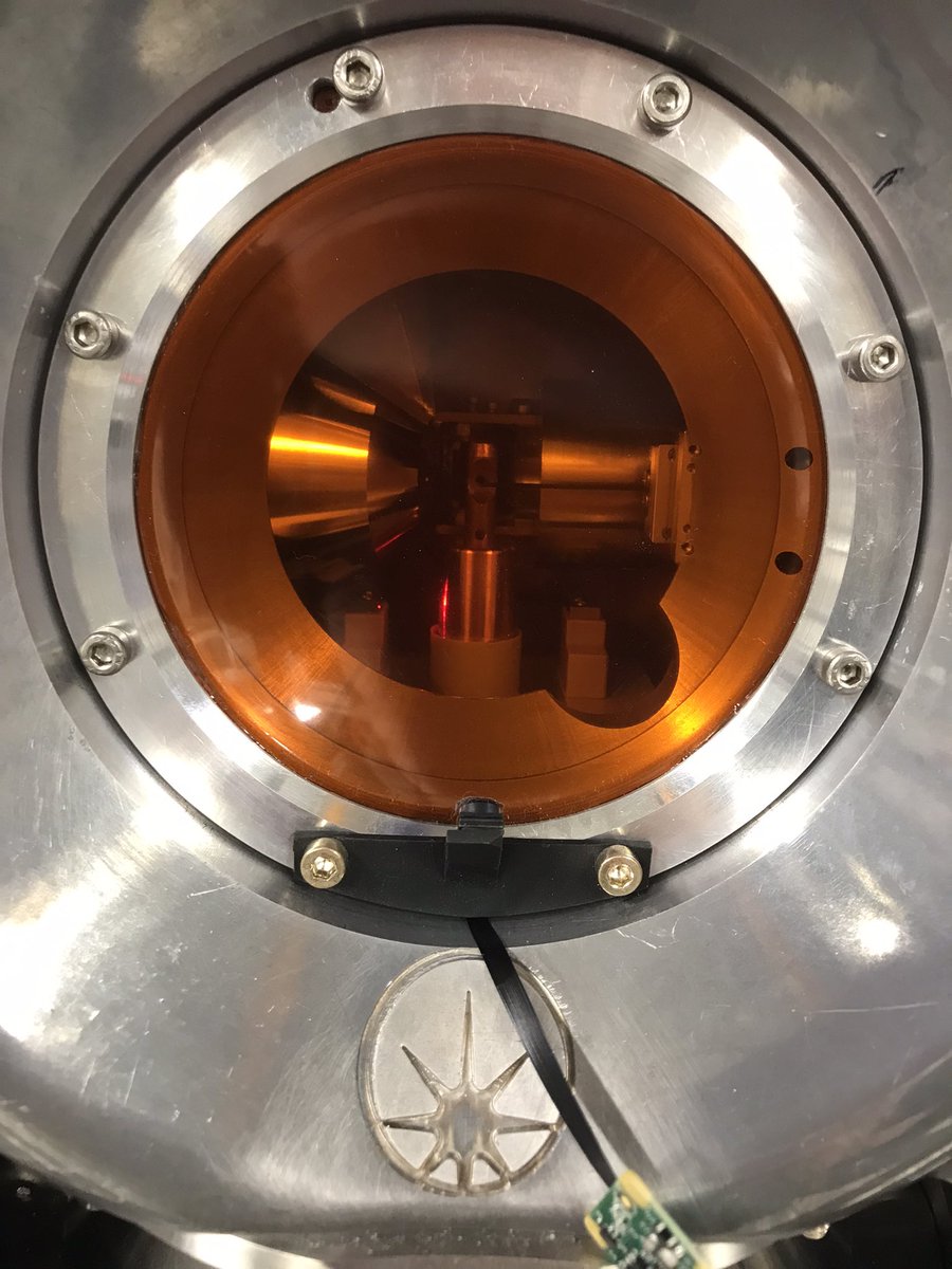 Elizabeth Shotton tweet media