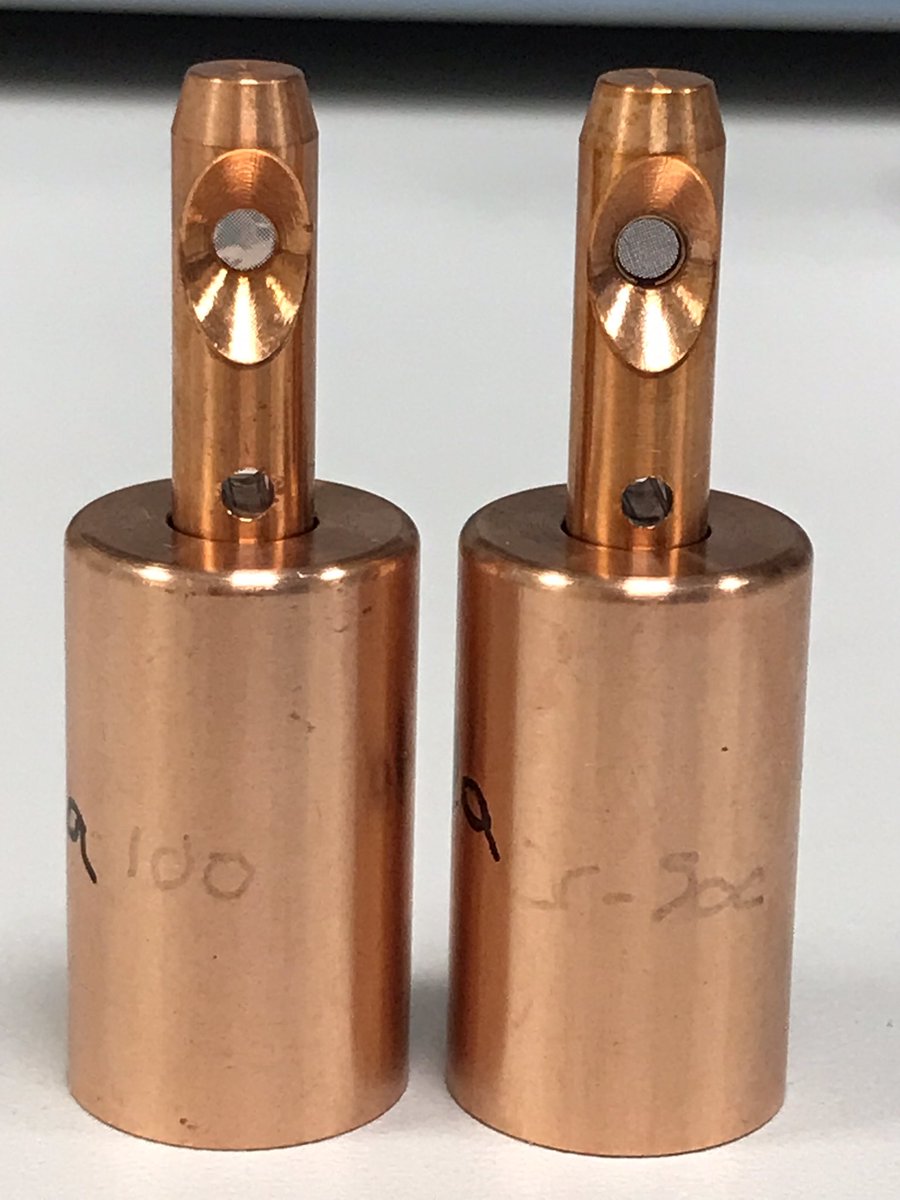 Elizabeth Shotton tweet media