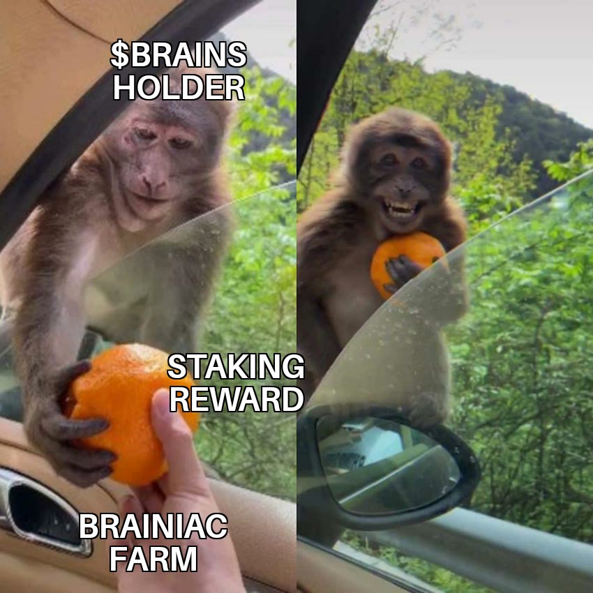Holly Christopher (@hollychristt) on Twitter photo <a href="/BrainiacFarm/">Brainiac Farm</a> is the next evolution in staking and yield farming. $BRAINS Holders smiling after reward.
My bullish meme entry ๐คญ <a href="/BrainiacFarm/">Brainiac Farm</a> is the next evolution in staking and yield farming. $BRAINS Holders smiling after reward.
My bullish meme entry ๐คญ