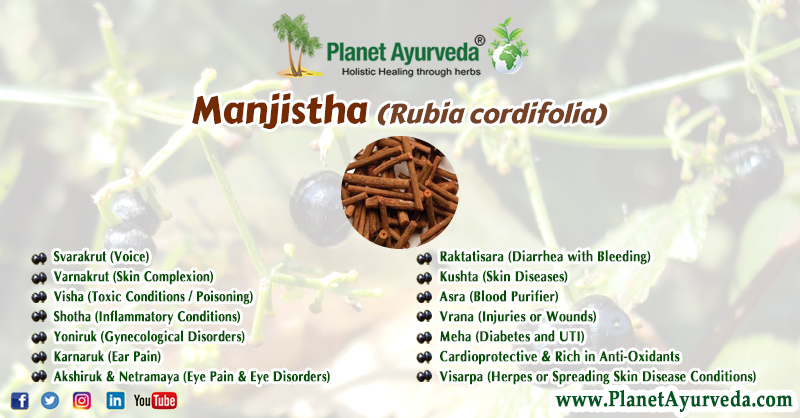 PlanetAyurveda4's tweet photo. Health Benefits Of Manjistha (Rubia cordifolia)
#SkinComplexion #Diarrhea #SkinDiseases #BloodPurifier #Wounds #UTI #Antioxidants #Cardioprotective #GynecologicalDisorders #InflammatoryCondition https://t.co/xCIM59eF8o