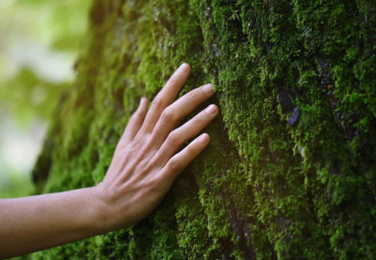 PaoliCGPI's tweet image. Le pouvoir de l'#ESG &amp;amp; de l'investissement durable est-il suffisant face au #greenwashing et/ou #ecoblanchiment exaspérant qui subsiste encore trop⁉️

⚠️En 2021,près de 50% des allégations #green sont exagérées,fausses ou fallacieuses😱
👉🏾bit.ly/3LPMhqq /Source:@UEFrance