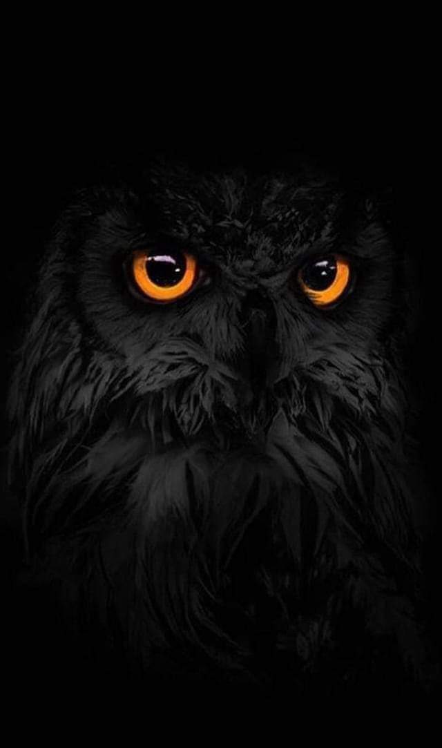 Good morning everyone