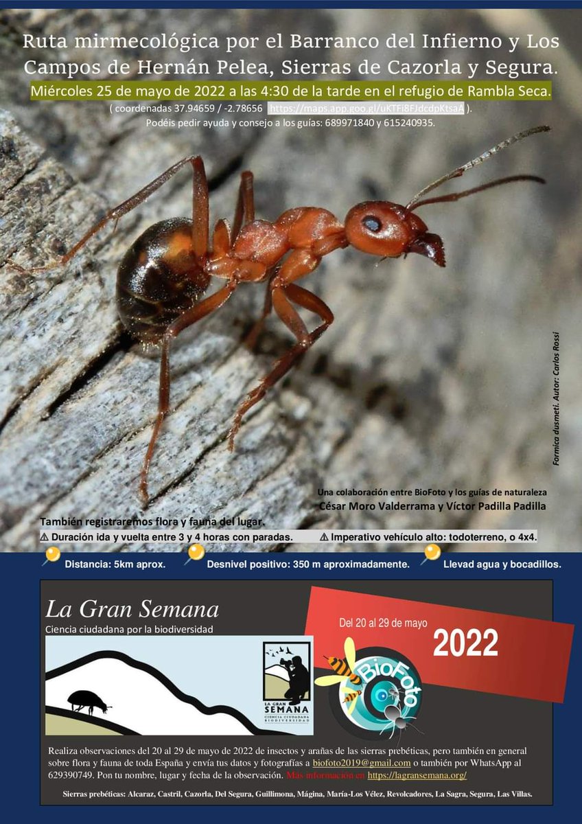 Estas son las actividades que estaremos realizando para celebrar la Gran Semana de la ciencia ciudadana por la biodiversidad. ¡Os esperamos!