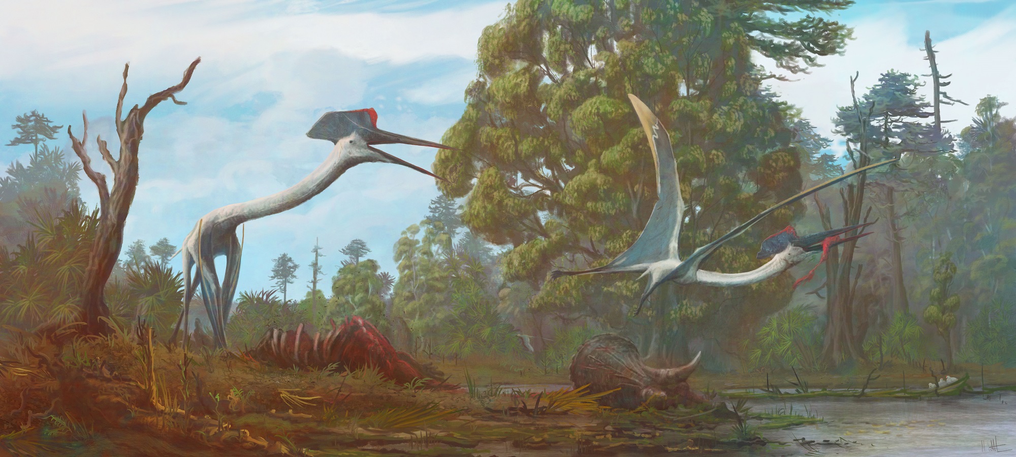 mark witton pterosaurs