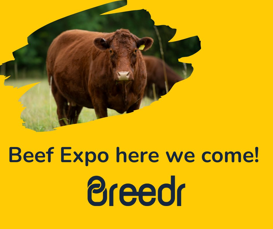 We can't wait to see you all at the <a href="/beefexpo/">Beef Expo</a>. Join us on stand 54 where you can try the worlds fastest weighing app, see a demo of our new BreedrPro and learn about BreedrCashflow. 

#beefexpo #beef #sheep #agritech #precisionlivestock