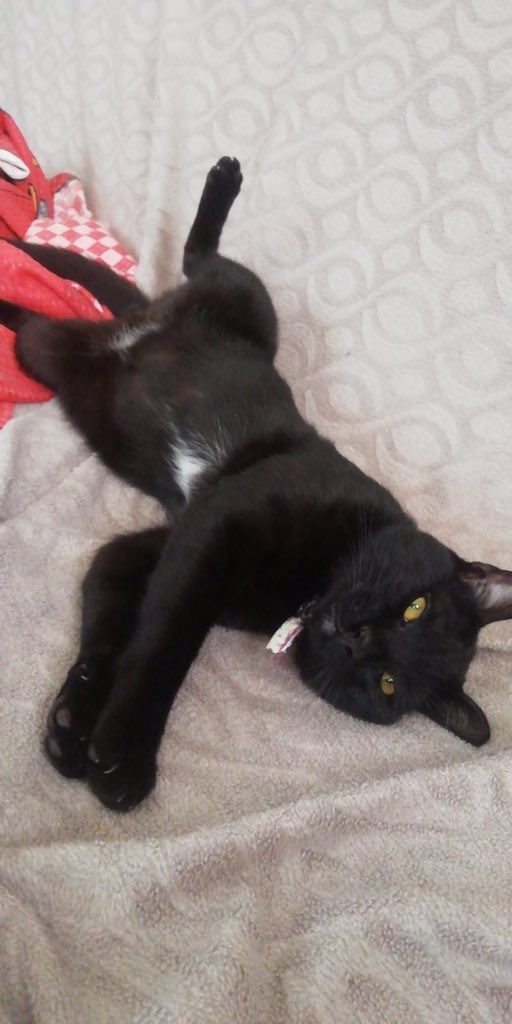 samseytanicuce's tweet photo. i'm sexy and i'm know it https://t.co/09ZKpyNMfa
