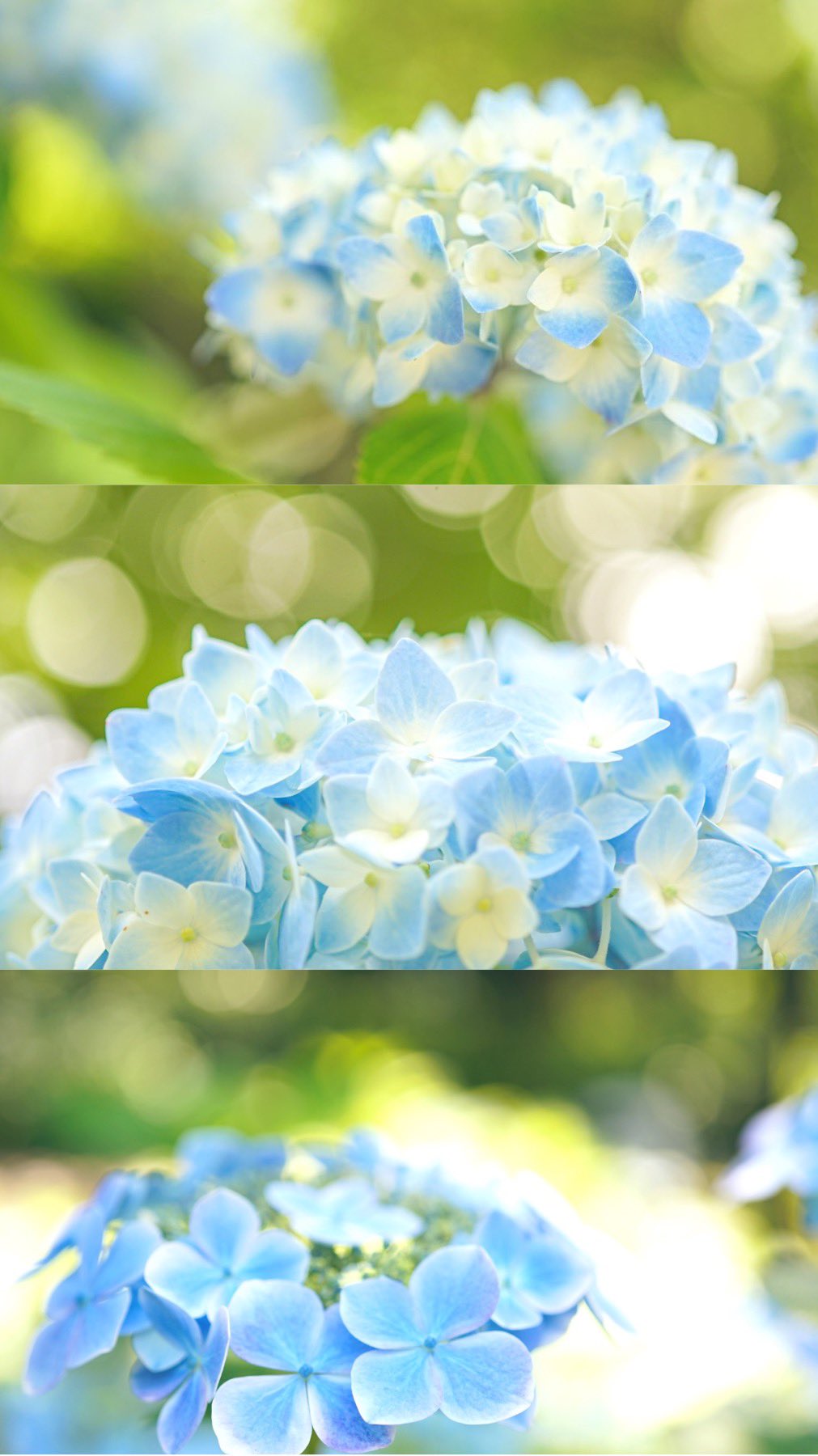 午後はひるね R1ibbv7gkw8ku Twitter