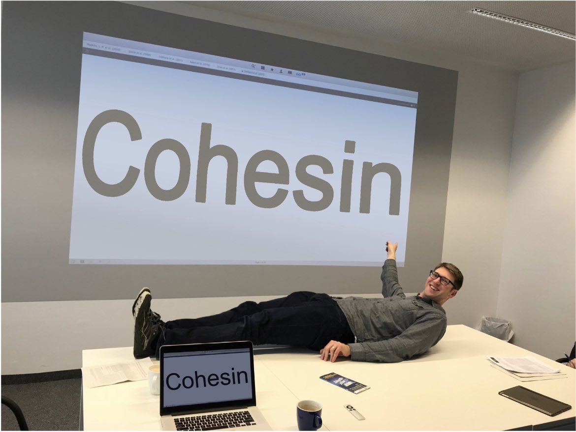 DuderstadtLab's tweet photo. Cohesin vs. Karl 📏

… back in… 2018 😅 
Our 1st group meeting in a new seminar room with a new 📽 and a massive #cohesin 

&amp; very fitting for our new paper 🤓

(this gives us such #cover vibes, don’t you agree?📸📰) https://t.co/6HePr2s5dW