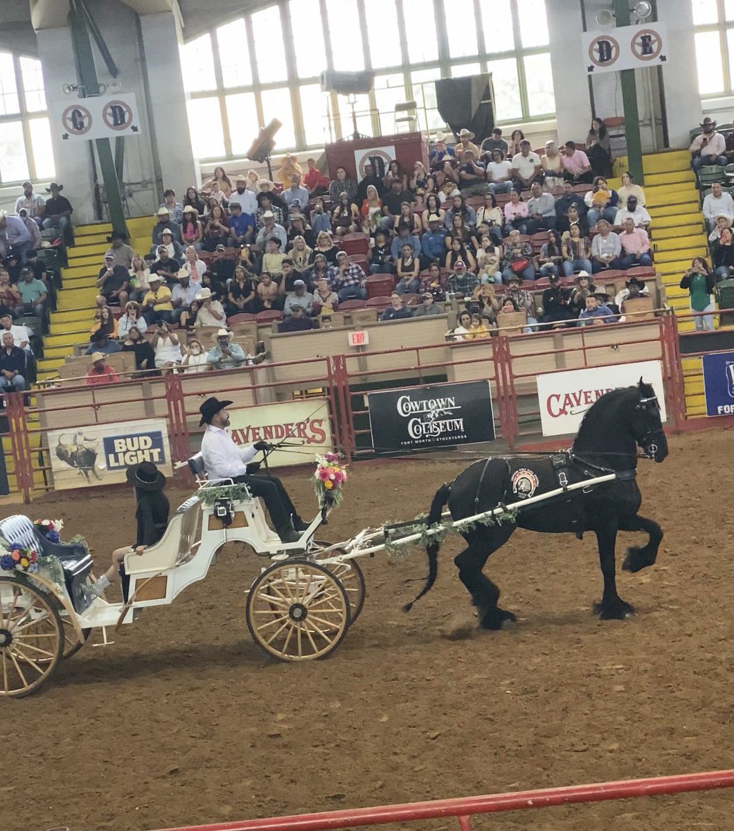 flippaGates's tweet image. Round em ⬆️ 🐎 #rodeovibes