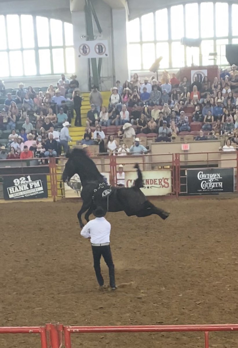 flippaGates's tweet image. Round em ⬆️ 🐎 #rodeovibes