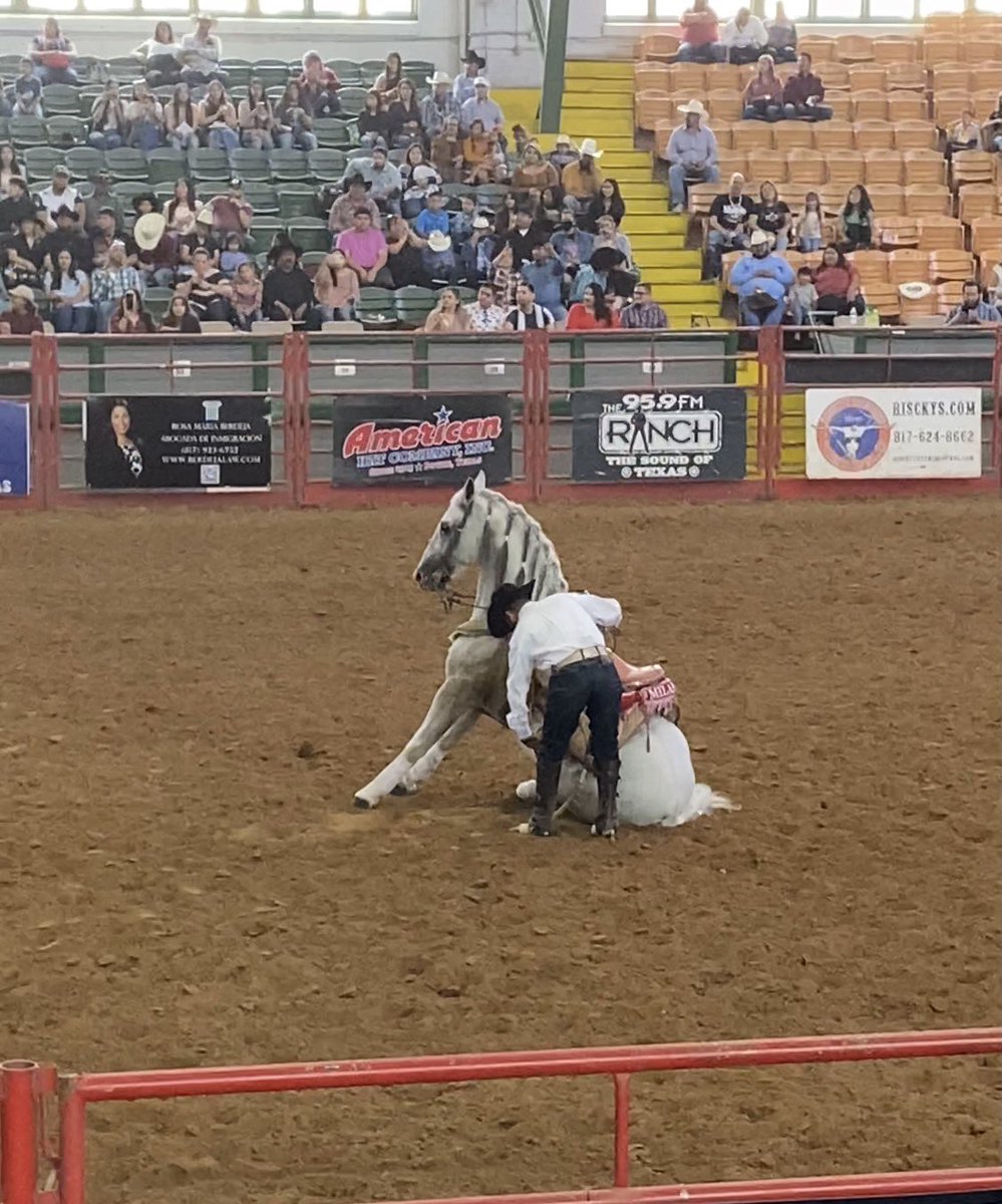 flippaGates's tweet image. Round em ⬆️ 🐎 #rodeovibes