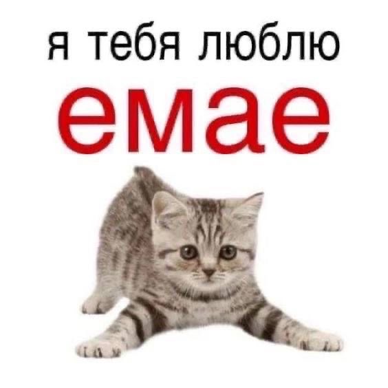 chikibry's tweet photo. @YadovitiByblick СПАСИБО БОЛЬШУШЕЕ😭😭❤️❤️❤️❤️ https://t.co/j96pl6b2TB