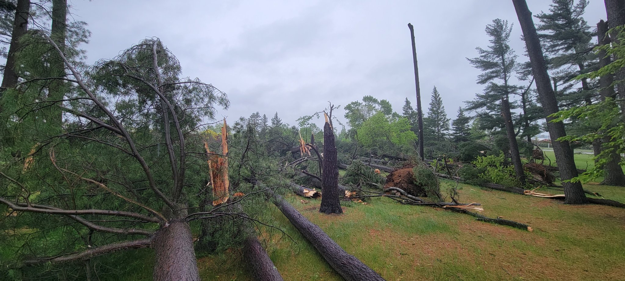 Northern Tornadoes Project 🇨🇦 Twitterissä "An NTP storm survey team