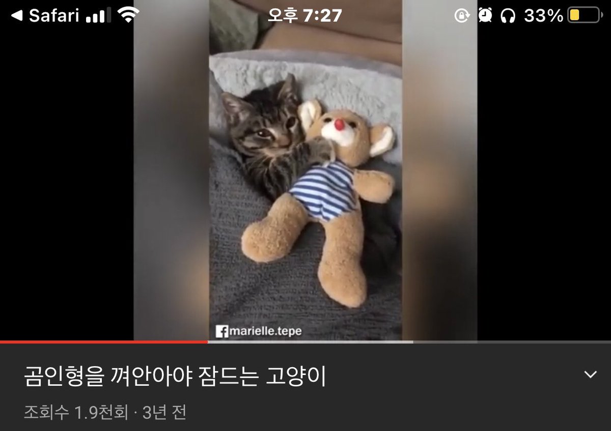 homohyena's tweet photo. 요즘동맠 다 이지랄임 이멀크군의 소유욕이 한층더 깊어짐 퓌발 https://t.co/ja3ZuxloGw