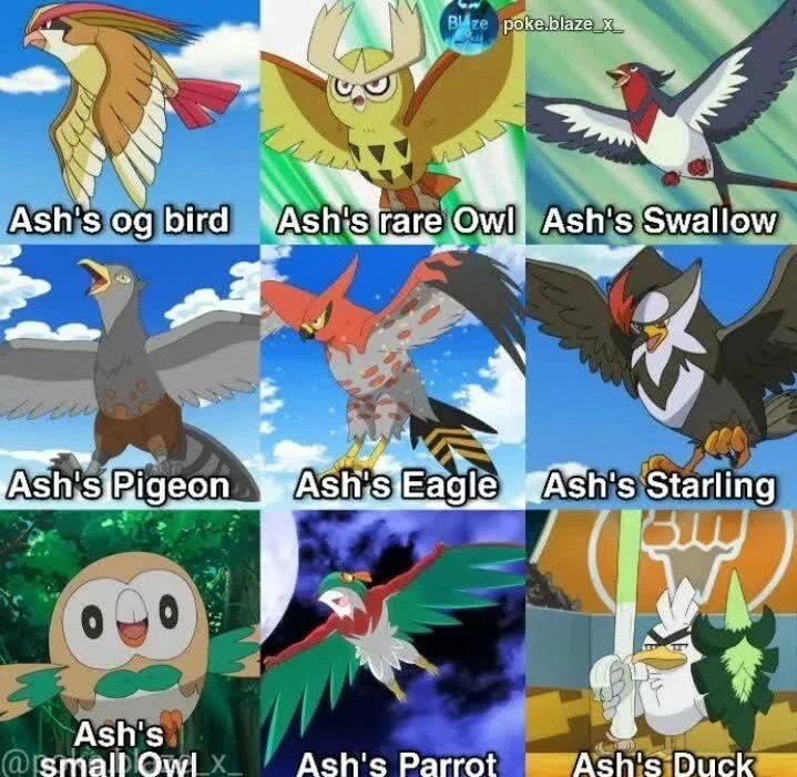 Ashlucario4ever's tweet photo. Ash bird's 🔥☺️
#anipoke https://t.co/MsF920DxWD