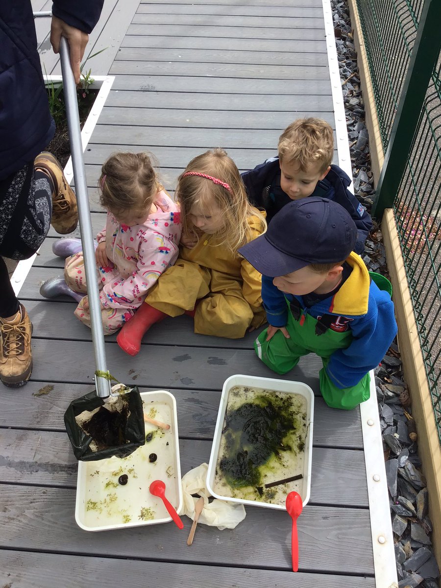 SPFNurseriesEY's tweet photo. Exploring the pond with the Rising threes. #exploration #forestschool @SPFSchools @DameBradburys https://t.co/b7c9f4QZAV